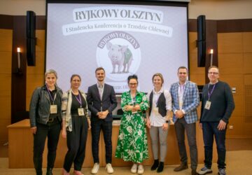 Ryjkowy Olsztyn 1
